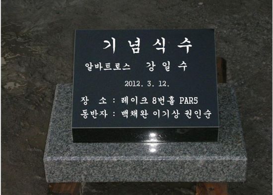 3-11. 알바트로스 350*250*120