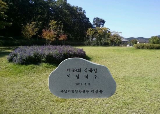 3-1. 식목일기념  화강석:500*300*180