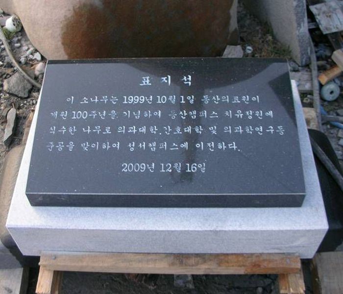 11.표지석